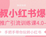 狼叔小红书爆款推广引流训练课4.0,手把手带你玩转小红书-资源宝库吧