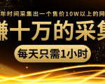 年赚十万的采集站,每天却只需要1小时,一年时间采集出一个售价10W以上的网站-资源宝库吧