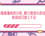抖音直播间风火轮,暴力微信引流技术,低成本日加上千法-资源宝库吧
