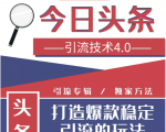 今日头条引流技术4.0,微头条实战细节,微头条引流核心技巧分析,快速发布引流玩法-资源宝库吧