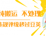 抖音纯搬运 不处理 小技巧,30秒发一个作品,避免违规评级秒过豆荚-资源宝库吧