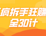 三疯拆手狂赚计,全30计课程-资源宝库吧