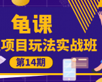 龟课·闲鱼项目玩法实战班第14期,批量细节玩法,一个月收益几万-资源宝库吧