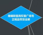 臻曦联盟抖音高权重广场号无人直播正规品带货全解-资源宝库吧