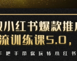 小红书爆款推广引流训练课5.0,手把手带你玩转小红书(17节实操视频+话术)-资源宝库吧