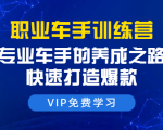 职业车手训练营:专业车手的养成之路,快速打造爆款(8节-无水印直播课)-资源宝库吧