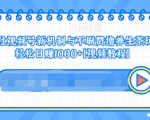 视频号新机制与不刷赞撸养生茶玩法,轻松日赚1000+-资源宝库吧