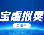 黑帽子淘宝虚拟卖货项目，单店每月收入5000+-资源宝库吧
