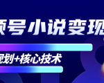 柚子微信视频号小说变现项目,全新玩法零基础也能月入10000+【核心技术】-资源宝库吧