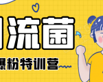引流菌2020全网爆粉特训营(QQ群霸屏,知乎引流,群裂变,自动化引流等)-资源宝库吧