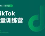 2020最新TikTok流量增长训练营(完结)附PPT-资源宝库吧