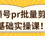 视频号PR批量剪辑0基础实操课，PR批量处理伪原创一分钟一个视频【共2节】-资源宝库吧