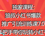 狼叔小红书爆款推广引流训练课7.0,手把手带你玩转小红书-资源宝库吧