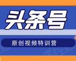 头条号原创视频特训营:一对一带你玩转短视频,新号10天日收益破252元-资源宝库吧