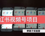 野路子小红书视频号1.0项目,直接上手操作就能赚钱的视频号项目-资源宝库吧