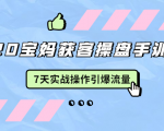 2020宝妈获客操盘手训练营:7天实战操作引爆 母婴、都市、购物宝妈流量-资源宝库吧