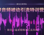 黄岛主·FM音频引流特训营2.0:独家引流模式,单账号50W+播放量,轻松变现-资源宝库吧