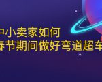 淘宝中小卖家如何利用春节期间做好弯道超车,如何做到月销售额20W+-资源宝库吧