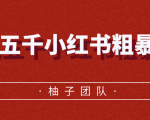 月入五千小红书粗暴赚钱玩法,适合上班族的赚钱副业-资源宝库吧
