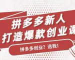 拼多多新人打造爆款创业课:快速引流持续出单,适用于所有新人-资源宝库吧