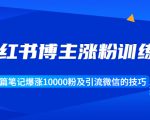 小红书博主涨粉训练营:一篇笔记爆涨10000粉及引流微信的技巧-资源宝库吧