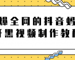 火爆全网的抖音“蚂蚁牙黑”视频制作教程,附软件【视频教程】-资源宝库吧