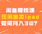 闲鱼赚钱课:在闲鱼卖ipad,如何月入3W?详细操作教程-资源宝库吧