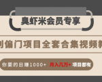 暴利偏门项目全套合集视频教程：你要的日赚1000+月入几万+项目都有-资源宝库吧