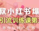 狼叔小红书爆款推广引流训练课第12期，手把手带你玩转小红书-资源宝库吧