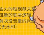 只说话就会火的短视频文案课,从根本上解决没流量的问题-资源宝库吧