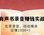 有声书录音赚钱实战:在家录音,动动嘴皮,日赚1000+!-资源宝库吧