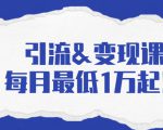 引流&变现课：分享一整套流量方法以及各个渠道收入，每月最低1万起！-资源宝库吧