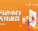 雨课·亚马逊小白特训营第9期 跨境电商挺赚钱的 有朋友已经月入几十万美金-资源宝库吧