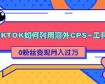 详细解析TIKTOK如何利用海外CPS+工具0粉丝轻松变现月入过万-资源宝库吧