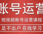 短视频账号运营课程:从话术到短视频运营再到直播带货全流程,新人快速入门-资源宝库吧