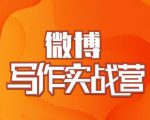 村西边老王·微博超级写作实战营,帮助你粉丝猛涨价值999元-资源宝库吧