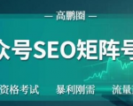 高鹏圈公众号SEO矩阵号群,实操20天纯收益25000+,普通人都能做-资源宝库吧