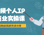 短视频个人IP商业实操课,百万粉丝实战方法分享,小白也能实现流量变现-资源宝库吧