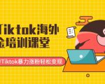 最新Tiktok海外掘金培训课堂:带你玩转Tiktok暴力涨粉轻松变现-资源宝库吧
