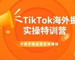 TikTok海外掘金实操特训营:手把手教运营变现赚钱-资源宝库吧