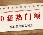 30套热门项目:单日最高收入过万 (网赚项目、朋友圈、涨粉套路、抖音、快手)等-资源宝库吧