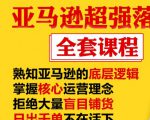 亚马逊超强落地实操全案课程:拒绝大量盲目铺货,日出千单不在话下-资源宝库吧