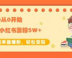 生财小红书涨粉变现:新账号从0开始3个月小红书涨粉5W+实现单篇爆粉-资源宝库吧