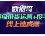 数据哥·超级带货运营+投手线上速成课,快速提升运营和熟悉学会投手技巧-资源宝库吧