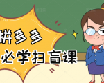 拼多多商家开店入门必学,0基础新手小白扫盲课(58节视频课程)-资源宝库吧