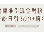 1套精准引流金融粉方法,轻松日引300+粉丝-资源宝库吧