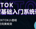 Tiktok实操进阶课程，体验从tiktok小透明到大佬的完美蜕变-资源宝库吧