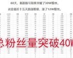 倪叶明·蓝海公众号矩阵项目训练营,0粉冷启动,公众号矩阵账号粉丝突破30w-资源宝库吧