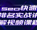 seo快速排名实战讲解视频课程,揭秘seo快排原理-资源宝库吧