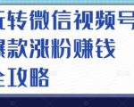 玩转微信视频号爆款涨粉赚钱全攻略，让你快速抓住流量风口，收获红利财富-资源宝库吧